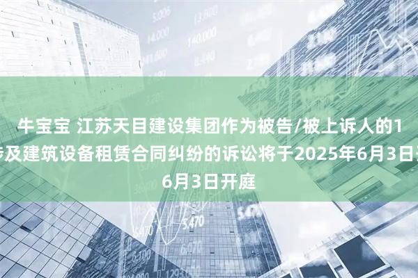 牛宝宝 江苏天目建设集团作为被告/被上诉人的1起涉及建筑设备租赁合同纠纷的诉讼将于2025年6月3日开庭