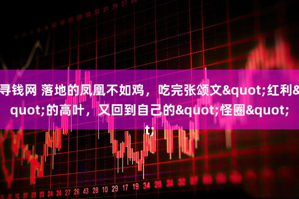寻钱网 落地的凤凰不如鸡，吃完张颂文"红利"的高叶，又回到自己的"怪圈"