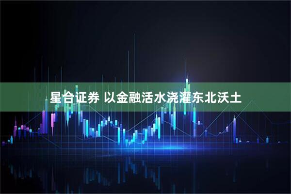 星合证券 以金融活水浇灌东北沃土